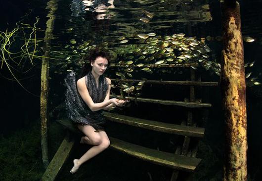 Underwater-Photography-17