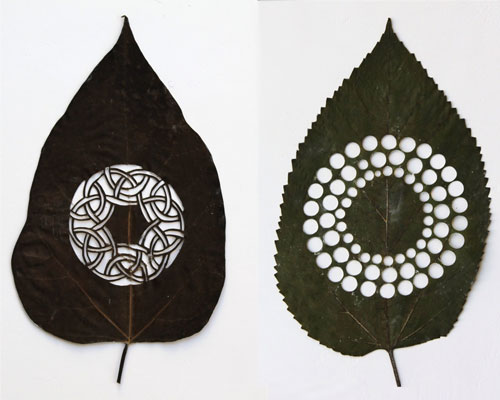 Leaf Arts 1