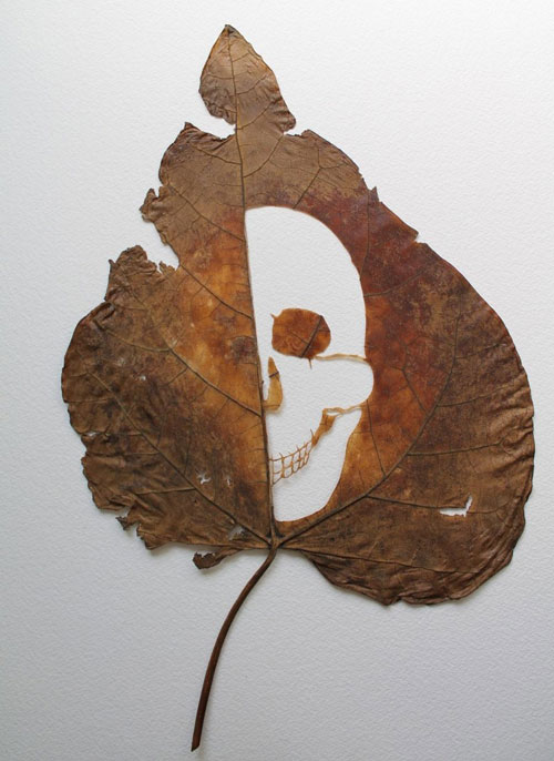 Leaf Arts 11