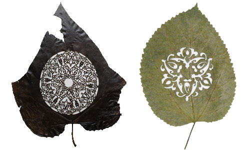 Leaf Arts 2