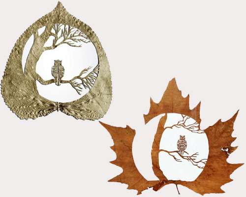 Leaf Arts 5