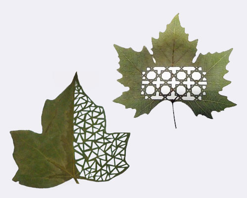 Leaf Arts 8