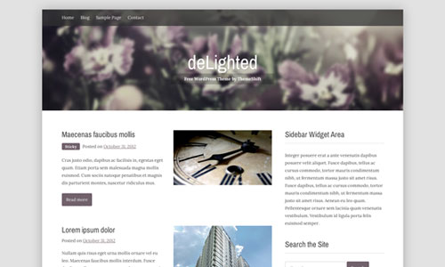 WordPress Theme Delighted